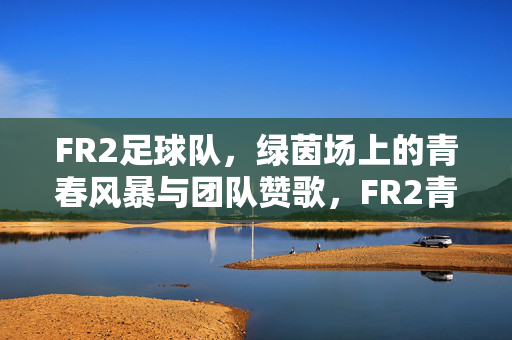 FR2足球队，绿茵场上的青春风暴与团队赞歌，FR2青春风暴，绿茵场上的团队赞歌
