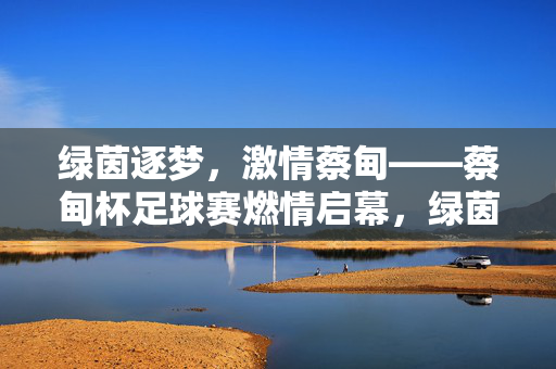 绿茵逐梦，激情蔡甸——蔡甸杯足球赛燃情启幕，绿茵逐梦，蔡甸杯足球赛燃情启幕
