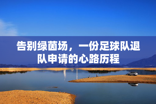 告别绿茵场,一份足球队退队申请的心路历程