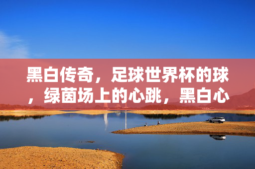 黑白传奇，足球世界杯的球，绿茵场上的心跳，黑白心跳，世界杯的绿茵传奇