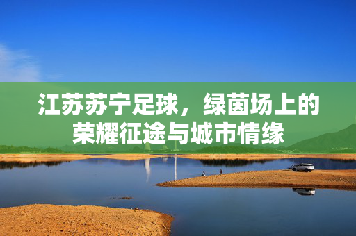 江苏苏宁足球，绿茵场上的荣耀征途与城市情缘