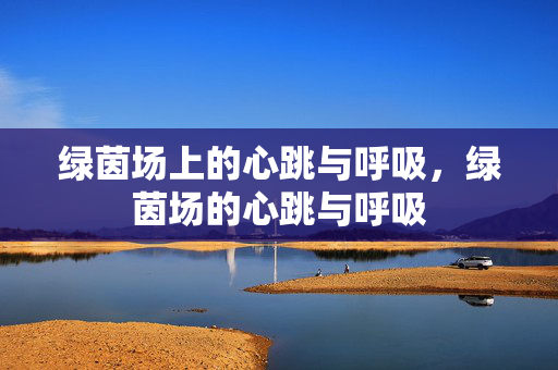 绿茵场上的心跳与呼吸，绿茵场的心跳与呼吸