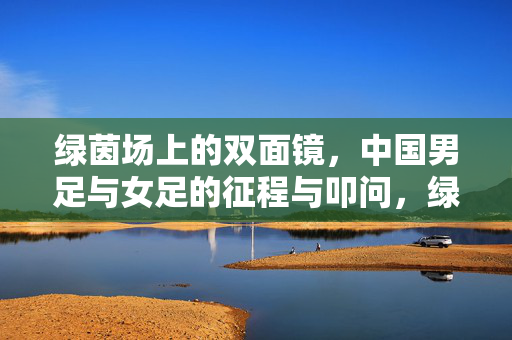 绿茵场上的双面镜，中国男足与女足的征程与叩问，绿茵双面镜，中国男女足的征程与叩问