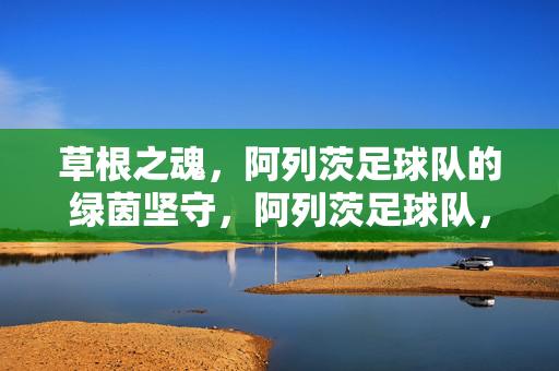草根之魂,阿列茨足球队的绿茵坚守,阿列茨足球队,草根之魂的绿茵坚守