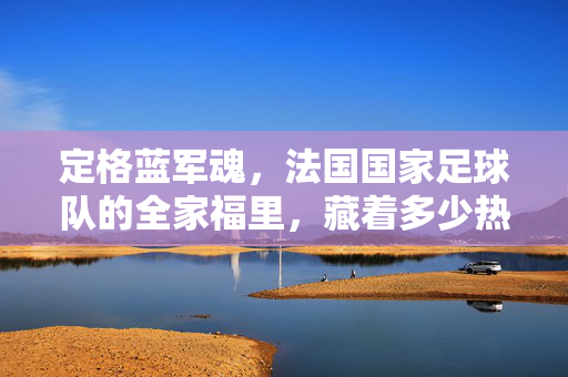 定格蓝军魂,法国国家足球队的全家福里,藏着多少热血与传承?定格蓝军魂,全家福里的热血传承