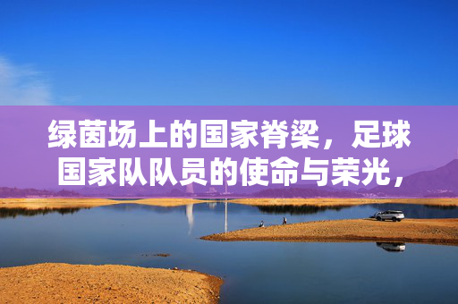 绿茵场上的国家脊梁，足球国家队队员的使命与荣光，绿茵脊梁，足球国家队的使命与荣光