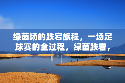 绿茵场的跌宕旅程，一场足球赛的全过程，绿茵跌宕，一场足球赛的全旅程