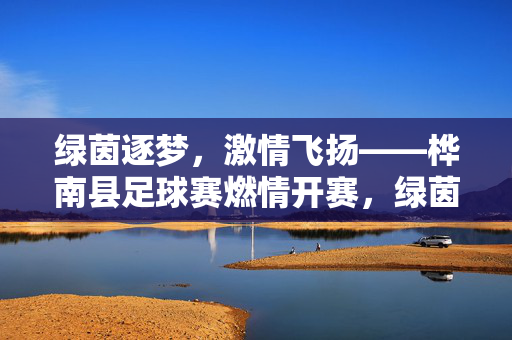 绿茵逐梦，激情飞扬——桦南县足球赛燃情开赛，绿茵逐梦，激情飞扬——桦南县足球赛燃情开赛