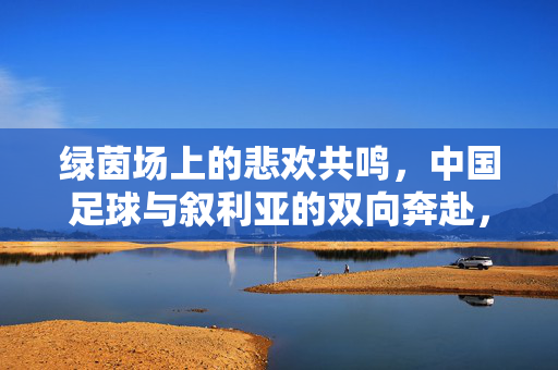 绿茵场上的悲欢共鸣，中国足球与叙利亚的双向奔赴，绿茵悲欢共鸣，中国足球与叙利亚的双向奔赴