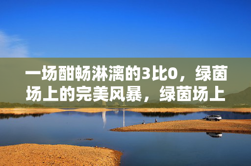 一场酣畅淋漓的3比0，绿茵场上的完美风暴，绿茵场上的3比0完美风暴