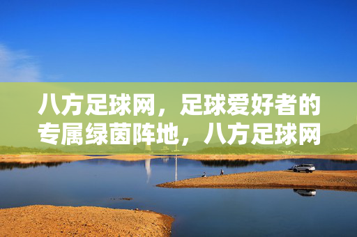 八方足球网，足球爱好者的专属绿茵阵地，八方足球网，足球爱好者的专属绿茵阵地