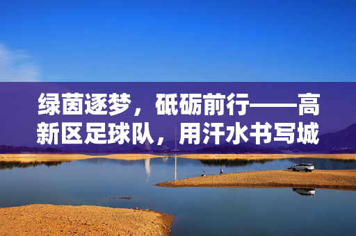 绿茵逐梦，砥砺前行——高新区足球队，用汗水书写城市新活力，高新区足球队，逐梦绿茵，燃动城市活力