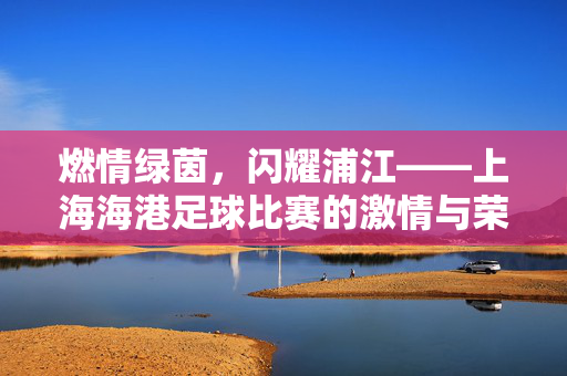 燃情绿茵，闪耀浦江——上海海港足球比赛的激情与荣耀，燃情绿茵闪耀浦江，上海海港足球的激情与荣耀