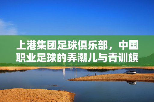 上港集团足球俱乐部，中国职业足球的弄潮儿与青训旗手，上港集团，中国职业足球弄潮儿与青训旗手