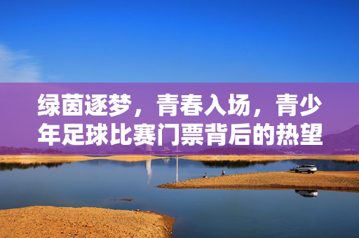 绿茵逐梦，青春入场，青少年足球比赛门票背后的热望与成长，绿茵青春，足球门票背后的热望与成长