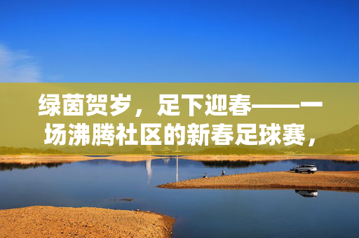 绿茵贺岁，足下迎春——一场沸腾社区的新春足球赛，绿茵贺岁，社区迎春足球赛