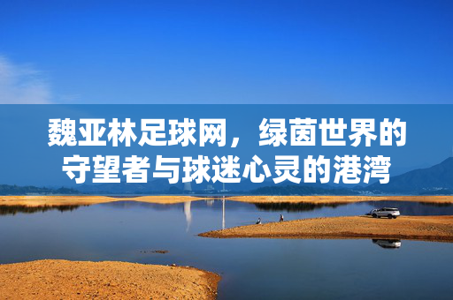 魏亚林足球网，绿茵世界的守望者与球迷心灵的港湾