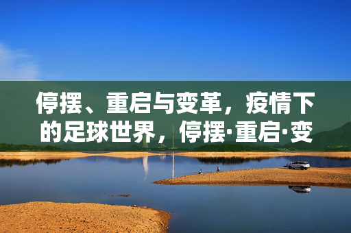 停摆、重启与变革，疫情下的足球世界，停摆·重启·变革，疫情下的足球世界