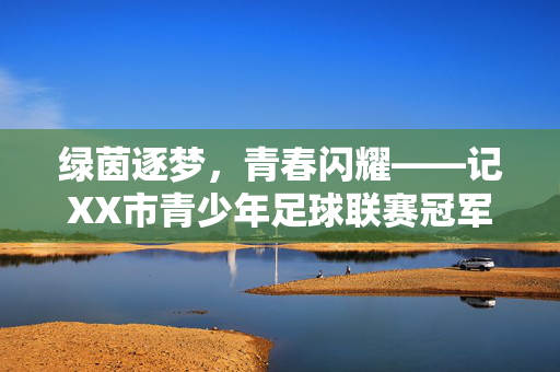 绿茵逐梦,青春闪耀——记XX市青少年足球联赛冠军诞生记,绿茵逐梦,青春闪耀——XX市青少年足球联赛冠军诞生
