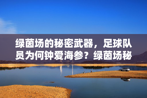 绿茵场的秘密武器,足球队员为何钟爱海参?绿茵场秘密武器,足球队员钟爱海参