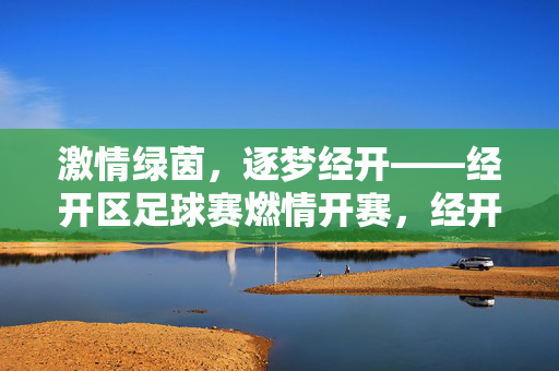 激情绿茵，逐梦经开——经开区足球赛燃情开赛，经开区足球赛燃情开赛