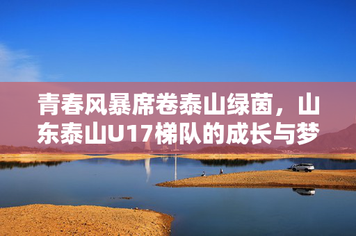 青春风暴席卷泰山绿茵，山东泰山U17梯队的成长与梦想，青春风暴，泰山U17的绿茵逐梦成长