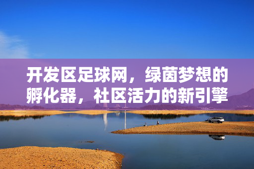 开发区足球网，绿茵梦想的孵化器，社区活力的新引擎