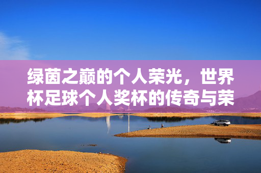 绿茵之巅的个人荣光，世界杯足球个人奖杯的传奇与荣耀，世界杯个人奖杯，绿茵之巅的传奇与荣光