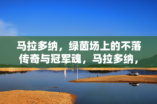马拉多纳，绿茵场上的不落传奇与冠军魂，马拉多纳，绿茵场不落传奇与冠军魂