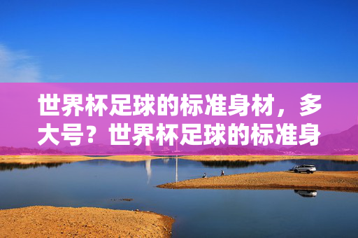 世界杯足球的标准身材，多大号？世界杯足球的标准身材多大号？