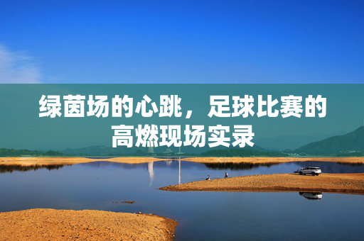 绿茵场的心跳,足球比赛的高燃现场实录