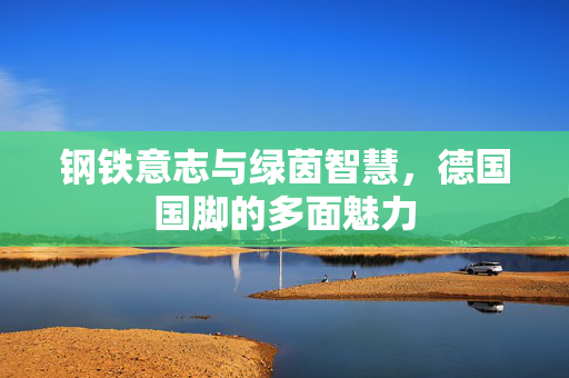 钢铁意志与绿茵智慧，德国国脚的多面魅力