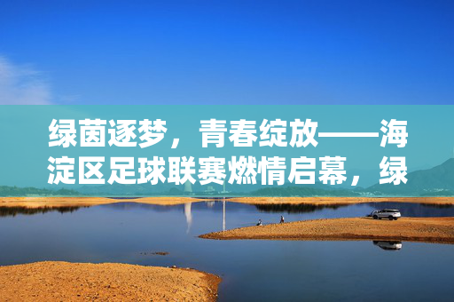 绿茵逐梦，青春绽放——海淀区足球联赛燃情启幕，绿茵逐梦青春绽放，海淀区足球联赛燃情启幕