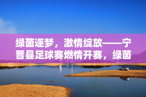 绿茵逐梦，激情绽放——宁晋县足球赛燃情开赛，绿茵逐梦，宁晋县足球赛燃情开赛