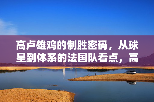 高卢雄鸡的制胜密码，从球星到体系的法国队看点，高卢雄鸡制胜密码，球星闪耀与体系致胜