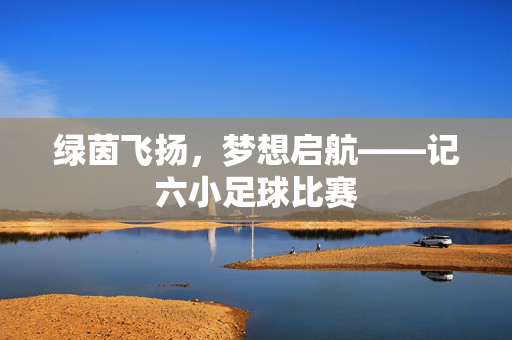 绿茵飞扬，梦想启航——记六小足球比赛