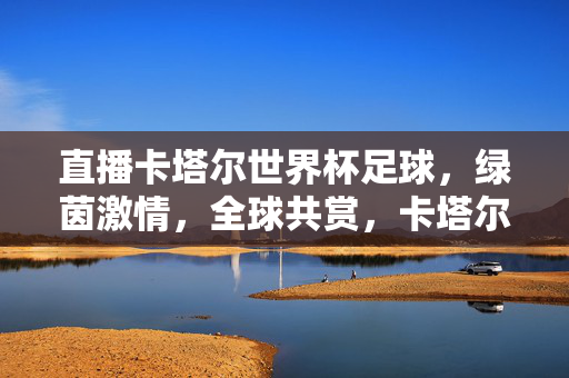 直播卡塔尔世界杯足球，绿茵激情，全球共赏，卡塔尔世界杯直播，绿茵激情全球共赏