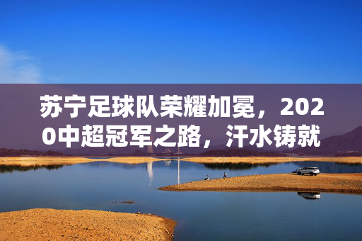 苏宁足球队荣耀加冕,2020中超冠军之路,汗水铸就辉煌,苏宁足球队2020中超荣耀加冕