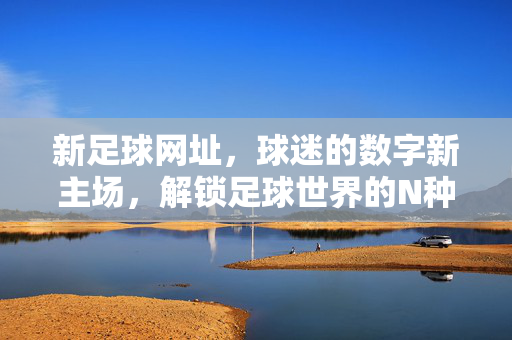 新足球网址，球迷的数字新主场，解锁足球世界的N种可能，球迷数字新主场，解锁足球世界的N种可能