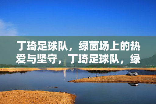 丁琦足球队，绿茵场上的热爱与坚守，丁琦足球队，绿茵场上的热爱与坚守