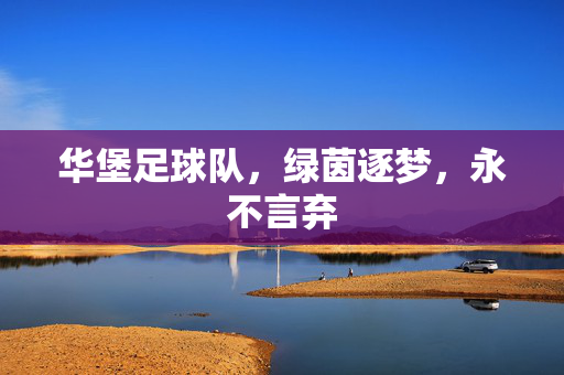 华堡足球队，绿茵逐梦，永不言弃
