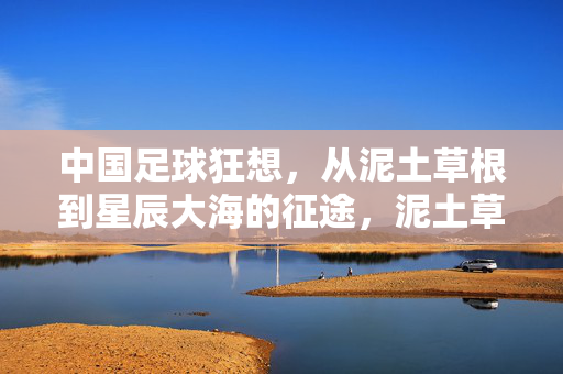 中国足球狂想，从泥土草根到星辰大海的征途，泥土草根到星辰大海，中国足球狂想征途