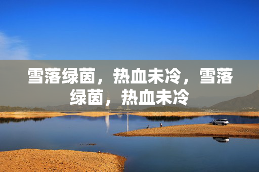 雪落绿茵，热血未冷，雪落绿茵，热血未冷