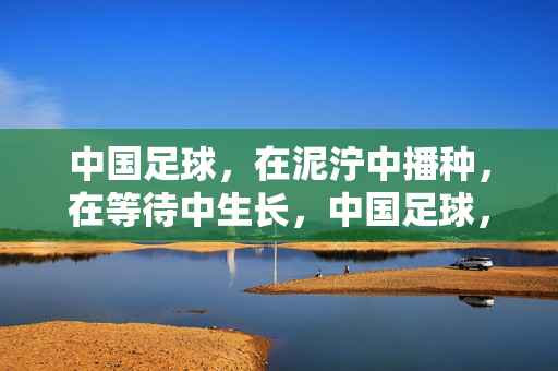 中国足球,在泥泞中播种,在等待中生长,中国足球,泥泞播种,等待生长