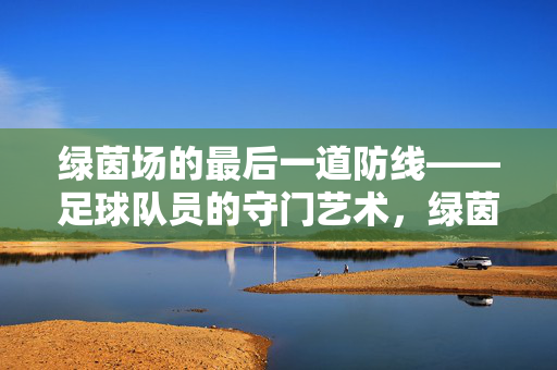绿茵场的最后一道防线——足球队员的守门艺术，绿茵场的最后一道防线，守门艺术