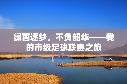 绿茵逐梦，不负韶华——我的市级足球联赛之旅