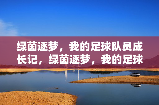绿茵逐梦，我的足球队员成长记，绿茵逐梦，我的足球队员成长记