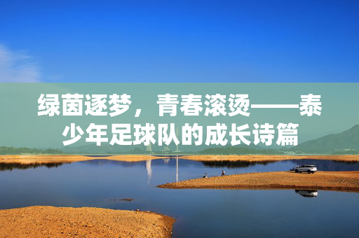 绿茵逐梦，青春滚烫——泰少年足球队的成长诗篇