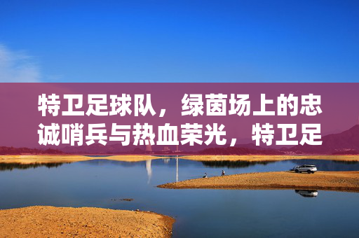 特卫足球队，绿茵场上的忠诚哨兵与热血荣光，特卫足球队，绿茵场上的忠诚哨兵与热血荣光