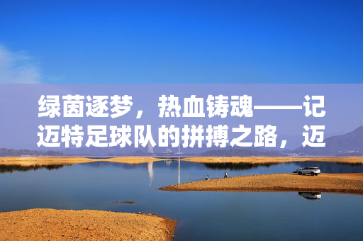 绿茵逐梦，热血铸魂——记迈特足球队的拼搏之路，迈特足球队，逐梦绿茵，热血铸魂